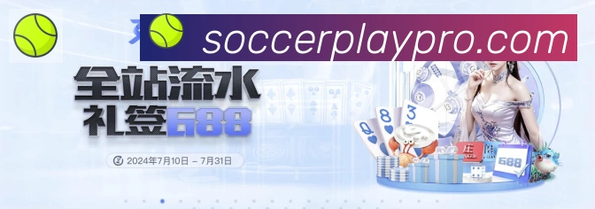 互动解说服务